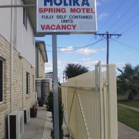 Molika Springs Motel Moree Extérieur photo